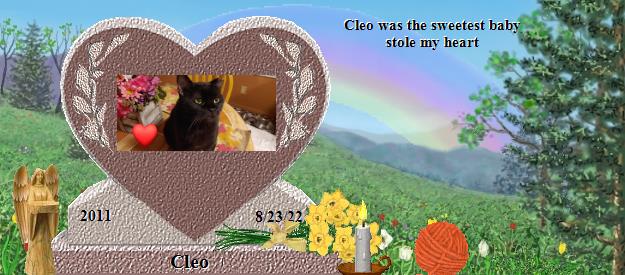 Cleo's Rainbow Bridge Pet Loss Memorial Residency Image
