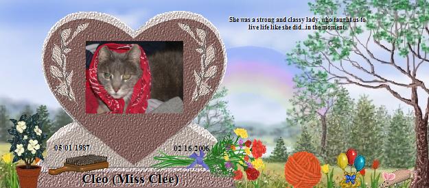 Cleo (Miss Clee)'s Rainbow Bridge Pet Loss Memorial Residency Image