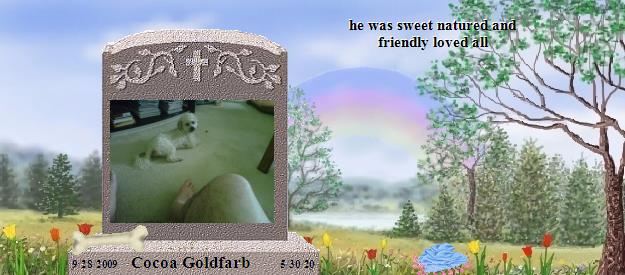 Cocoa Goldfarb's Rainbow Bridge Pet Loss Memorial Residency Image
