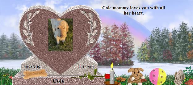 Cole's Rainbow Bridge Pet Loss Memorial Residency Image
