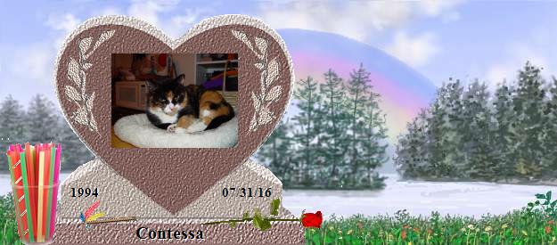 Contessa's Rainbow Bridge Pet Loss Memorial Residency Image