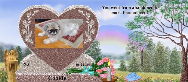 Cookie's Rainbow Bridge Pet Loss Memorial Residency Image
