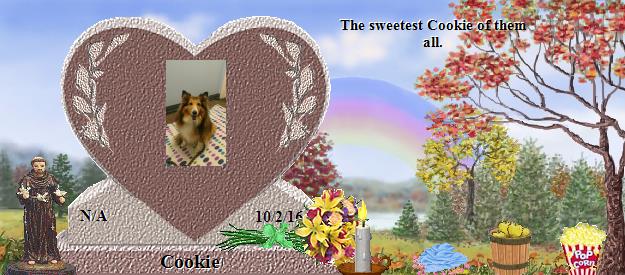 Cookie's Rainbow Bridge Pet Loss Memorial Residency Image