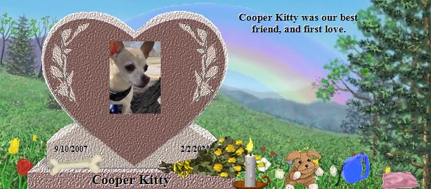 Cooper Kitty's Rainbow Bridge Pet Loss Memorial Residency Image