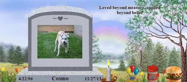 Cosmo's Rainbow Bridge Pet Loss Memorial Residency Image