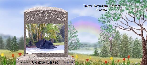 Cosmo Chase's Rainbow Bridge Pet Loss Memorial Residency Image