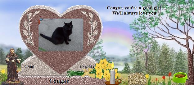 Cougar's Rainbow Bridge Pet Loss Memorial Residency Image