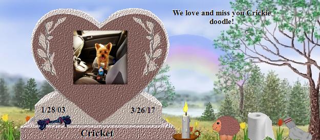 Cricket's Rainbow Bridge Pet Loss Memorial Residency Image