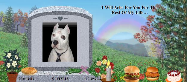 Crixus's Rainbow Bridge Pet Loss Memorial Residency Image