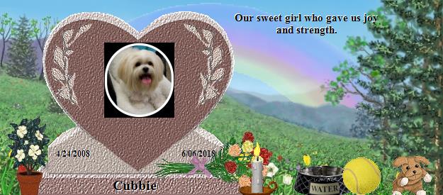 Cubbie's Rainbow Bridge Pet Loss Memorial Residency Image