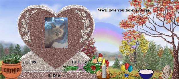 Czee's Rainbow Bridge Pet Loss Memorial Residency Image