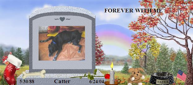 Catter's Rainbow Bridge Pet Loss Memorial Residency Image