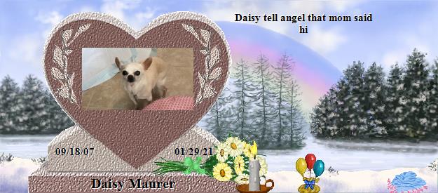 Daisy Maurer's Rainbow Bridge Pet Loss Memorial Residency Image