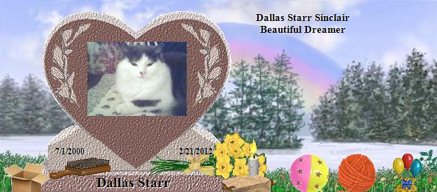 Dallas Starr's Rainbow Bridge Pet Loss Memorial Residency Image