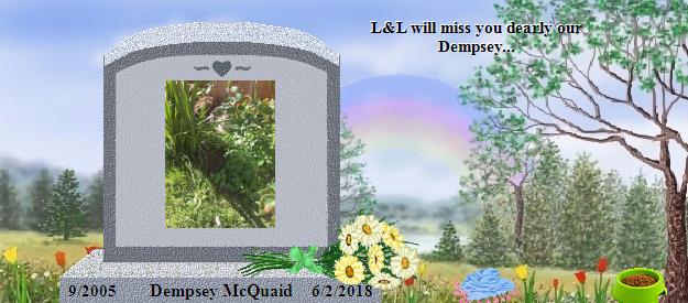 Dempsey McQuaid's Rainbow Bridge Pet Loss Memorial Residency Image