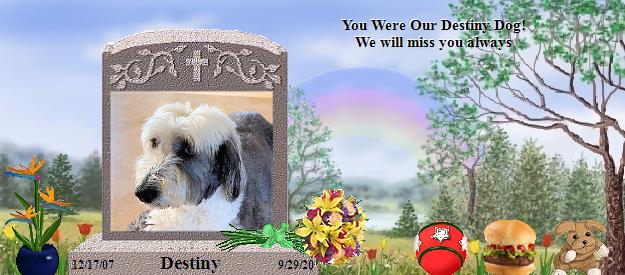 Destiny's Rainbow Bridge Pet Loss Memorial Residency Image