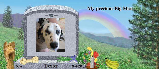 Dexter's Rainbow Bridge Pet Loss Memorial Residency Image