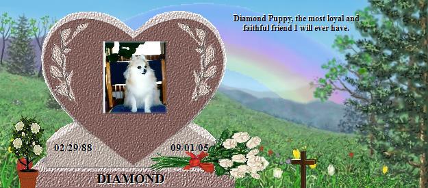 DIAMOND's Rainbow Bridge Pet Loss Memorial Residency Image