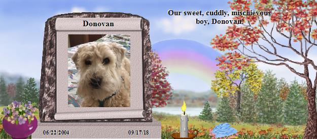 Donovan's Rainbow Bridge Pet Loss Memorial Residency Image