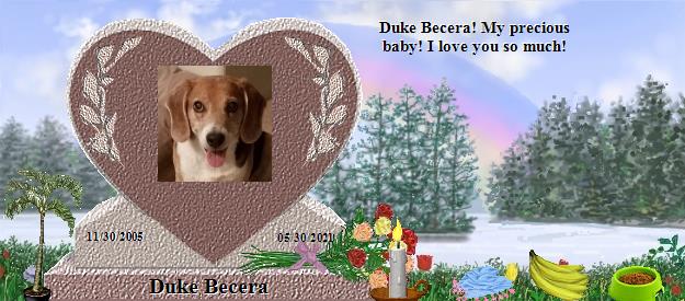 Duke Becera's Rainbow Bridge Pet Loss Memorial Residency Image