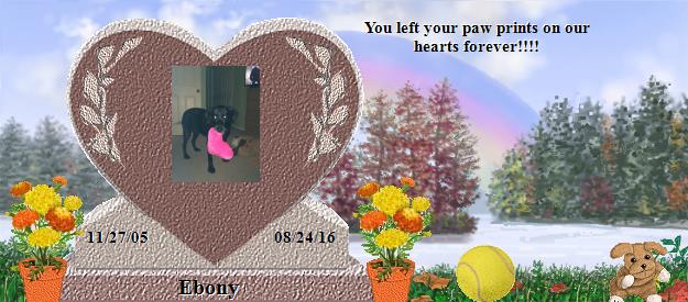 Ebony's Rainbow Bridge Pet Loss Memorial Residency Image