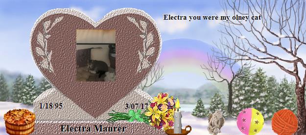 Electra Maurer's Rainbow Bridge Pet Loss Memorial Residency Image