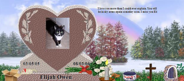 Elijah Owen's Rainbow Bridge Pet Loss Memorial Residency Image