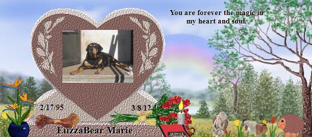 ElizzaBear Marie's Rainbow Bridge Pet Loss Memorial Residency Image