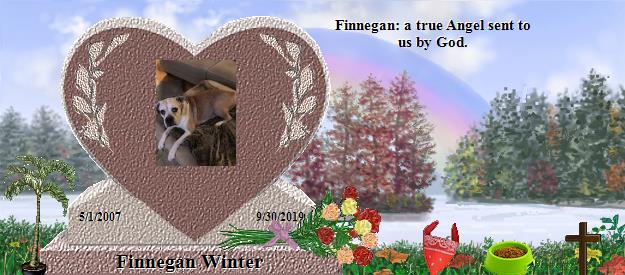 Finnegan Winter's Rainbow Bridge Pet Loss Memorial Residency Image
