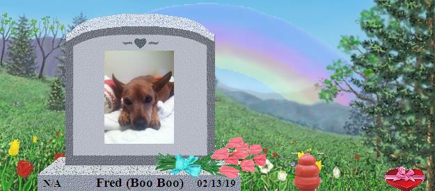 Fred (Boo Boo)'s Rainbow Bridge Pet Loss Memorial Residency Image