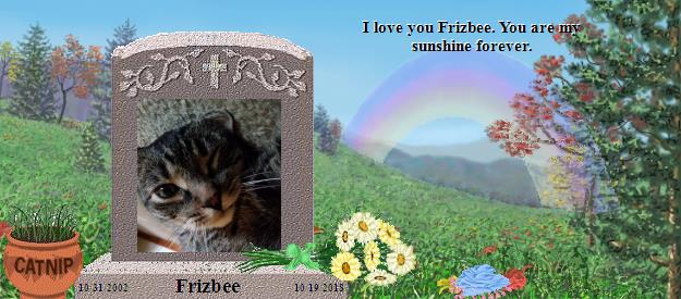 Frizbee's Rainbow Bridge Pet Loss Memorial Residency Image
