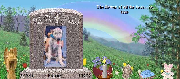 Fanny's Rainbow Bridge Pet Loss Memorial Residency Image