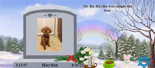 Hayden's Rainbow Bridge Pet Loss Memorial Residency Image