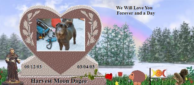 Harvest Moon Dagee's Rainbow Bridge Pet Loss Memorial Residency Image