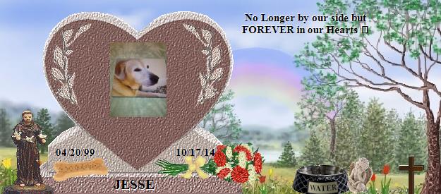 JESSE's Rainbow Bridge Pet Loss Memorial Residency Image