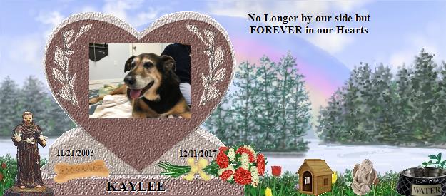 KAYLEE's Rainbow Bridge Pet Loss Memorial Residency Image