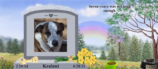 Kealani's Rainbow Bridge Pet Loss Memorial Residency Image