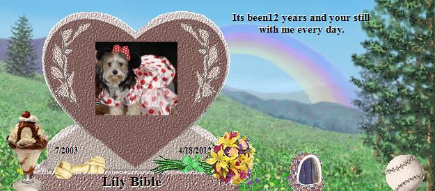 Lily Bible's Rainbow Bridge Pet Loss Memorial Residency Image