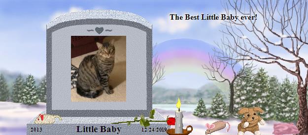 Little Baby's Rainbow Bridge Pet Loss Memorial Residency Image