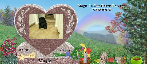 Magic's Rainbow Bridge Pet Loss Memorial Residency Image