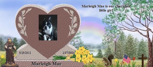 Marleigh Mae's Rainbow Bridge Pet Loss Memorial Residency Image