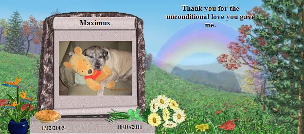 Maximus's Rainbow Bridge Pet Loss Memorial Residency Image