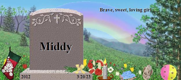 Middy's Rainbow Bridge Pet Loss Memorial Residency Image