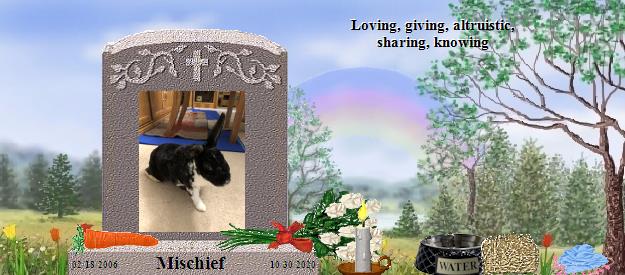 Mischief's Rainbow Bridge Pet Loss Memorial Residency Image
