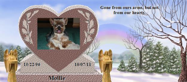 Mollie's Rainbow Bridge Pet Loss Memorial Residency Image