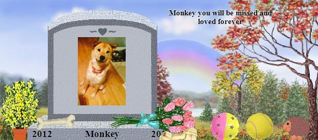 Monkey's Rainbow Bridge Pet Loss Memorial Residency Image