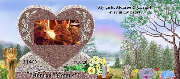 Monroe "Monnie"'s Rainbow Bridge Pet Loss Memorial Residency Image