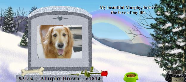 Murphy Brown's Rainbow Bridge Pet Loss Memorial Residency Image