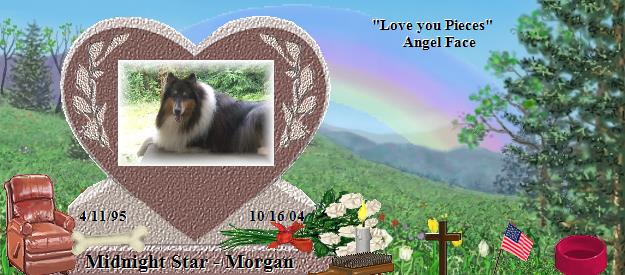 Midnight Star - Morgan's Rainbow Bridge Pet Loss Memorial Residency Image