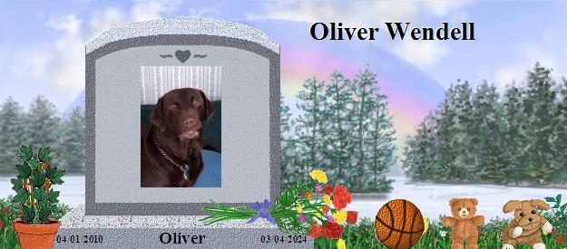 Oliver's Rainbow Bridge Pet Loss Memorial Residency Image
